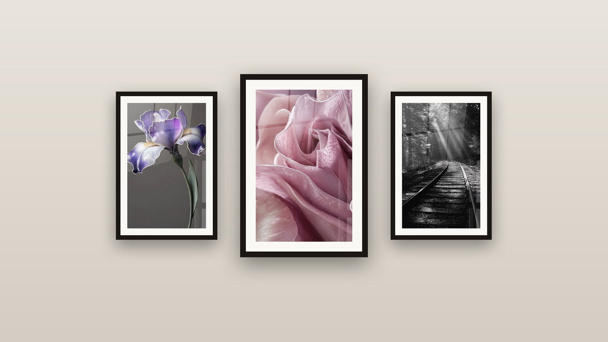 Galerijwand met drie ingelijste schilderijen: Prent Bosspoorweg, Iris nr. 9 en Tulp Nr. 2