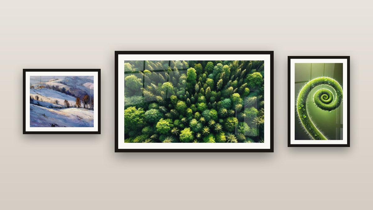 Mur de galerie avec trois tableaux encadrés : Paysage enneigé, Poumon de la Terre et Spirale de Vie