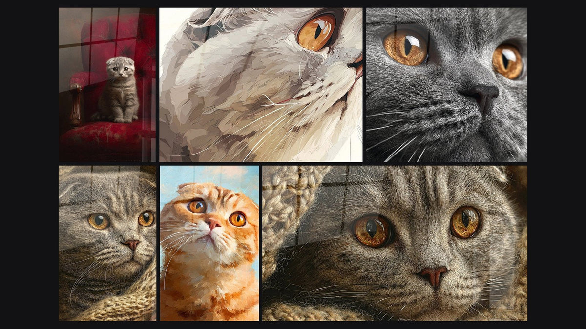 Mozaika sześciu obrazów, w tym Kota Scottish Fold na czerwonym fotelu i Kot Szkocki Scottish Fold Złote Oczy