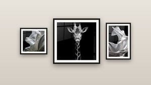 Pared de galería con tres cuadros enmarcados: Jirafa Retrato, Tela blanca fluido y Telas Fluidas