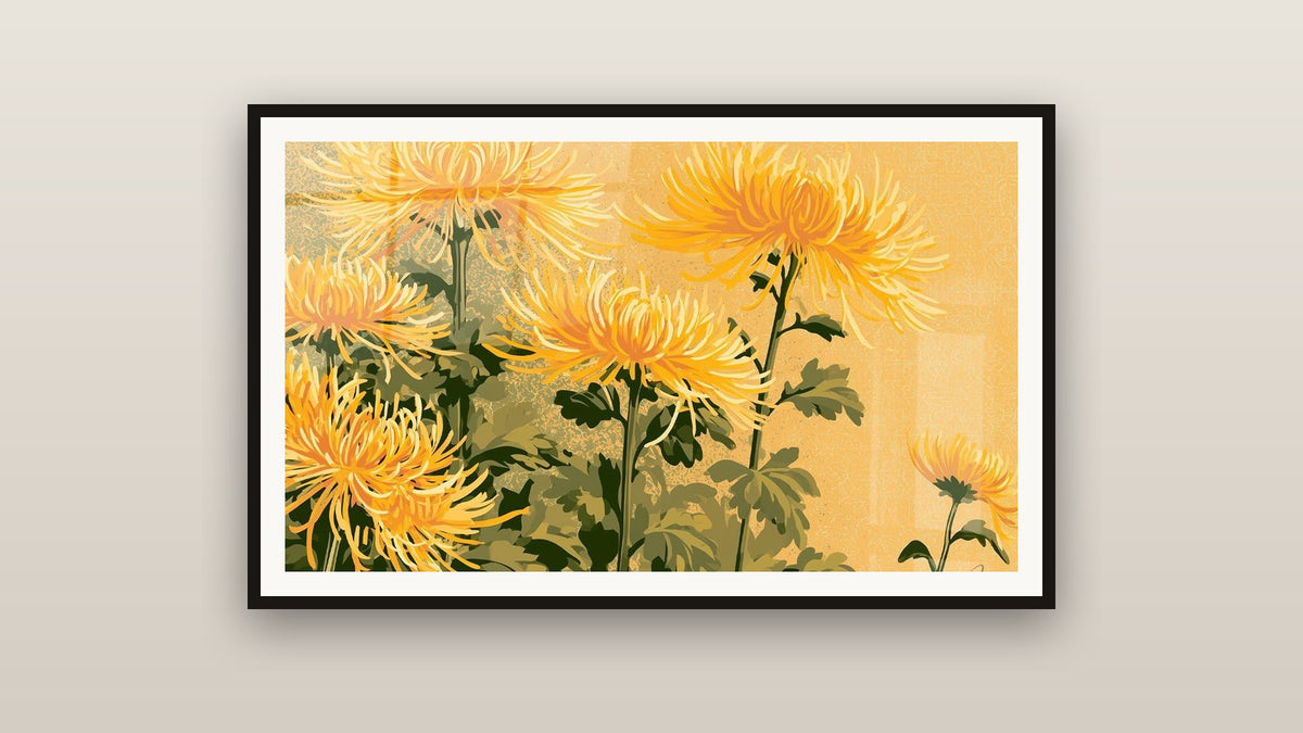 Tableau encadré sur un mur : Chrysanthèmes jaunes aux pétales effilés