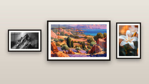 Mur de galerie avec trois tableaux encadrés : Paysage méditerranéen, Montagne Enneigée et Lys N°2