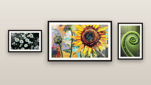 Galerijwand met drie ingelijste schilderijen: Levensspiraaloverzicht, Margriet nr. 1 en Zonnebloem nr. 2