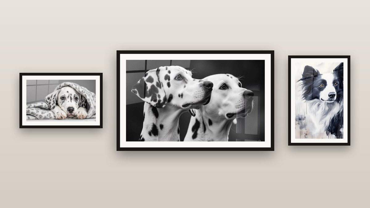 Mur de galerie avec trois tableaux encadrés : Dalmatien N°6, Border collie N°1 et Dalmatien N°2