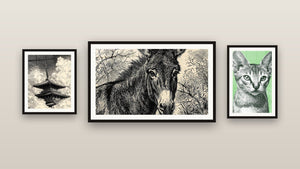 Pared de galería con tres cuadros enmarcados, entre ellos Gato Sokoke Retrato Grabado
