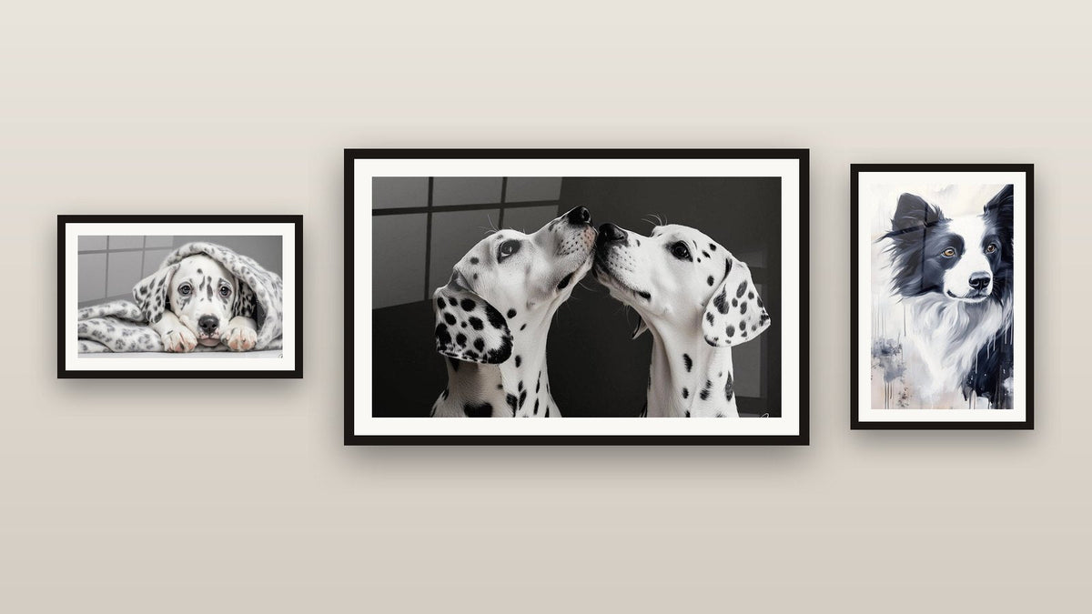 Parete galleria con tre quadri incorniciati, tra cui Dalmata N°2 e Dalmata N°1