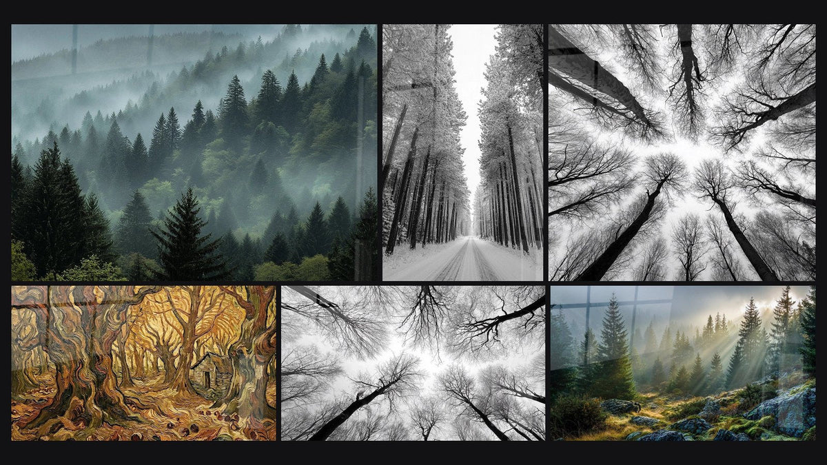 Mosaico di sei quadri, tra cui Foresta Vosgi nella Nebbia, Foresta Incantata e Alberi in vista dal suolo