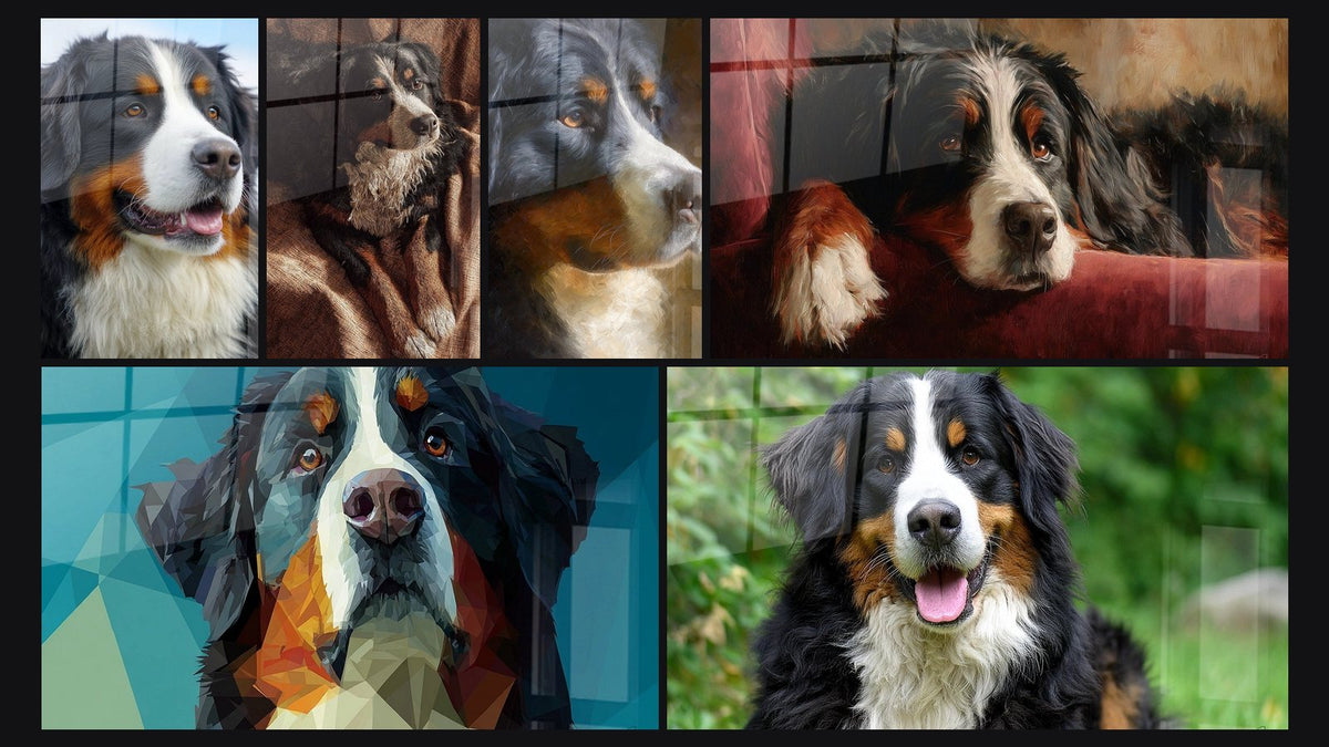 Mosaico di sei quadri, tra cui Ritratto Cane Tricolore agli Occhi Ambra e Cane Tricolore Disteso su Coperta Beige