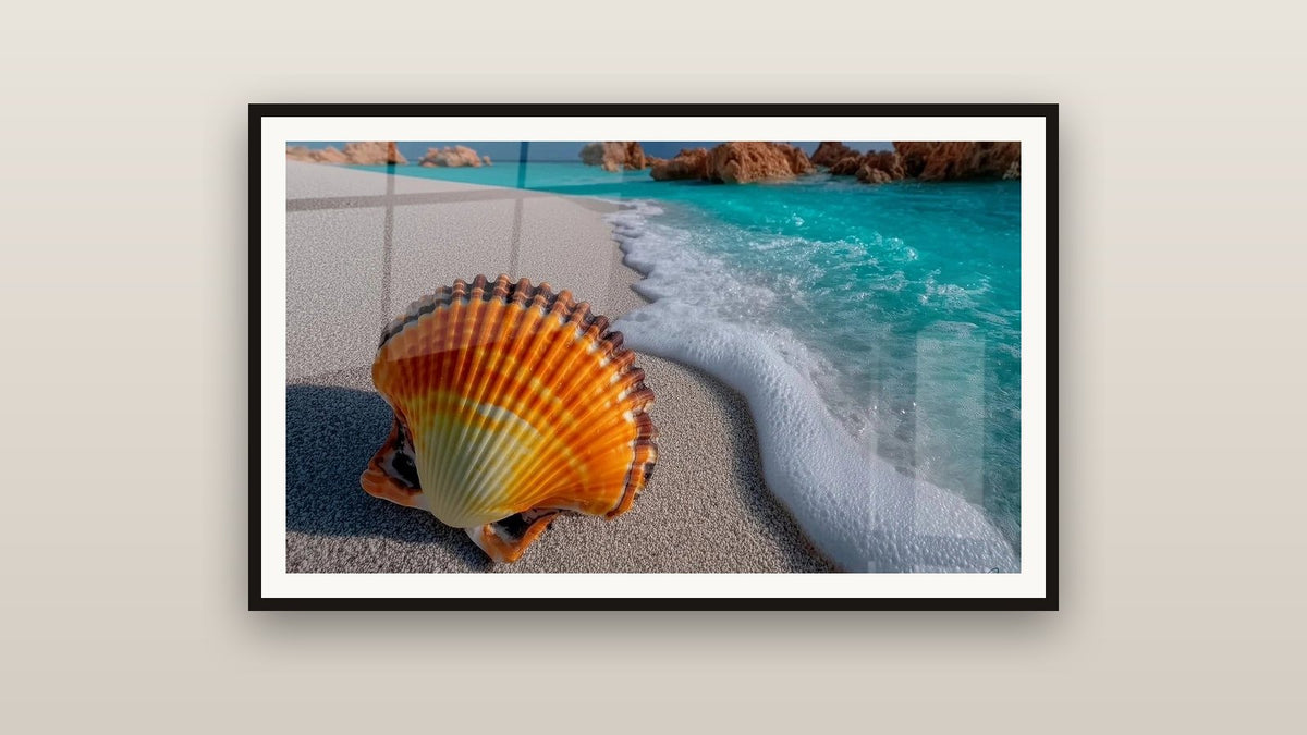 Quadro incorniciato su una parete: Conchiglia Azzurro schiumoso