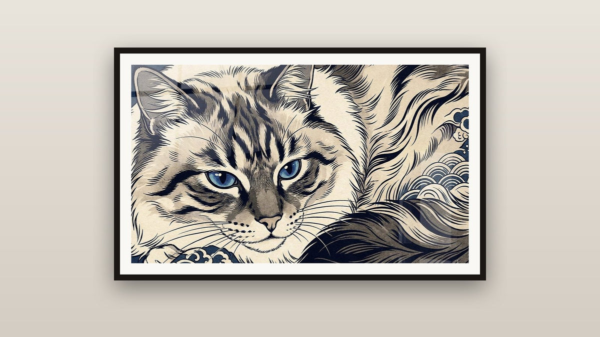 Quadro incorniciato su una parete: Chat Ragdoll Occhi Blu