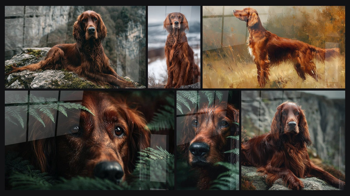 Mosaico di sei quadri, tra cui Cane Rosso Sdraiato su Roccia Muschiata e Cane Rosso Seduto su una Roccia Invernale