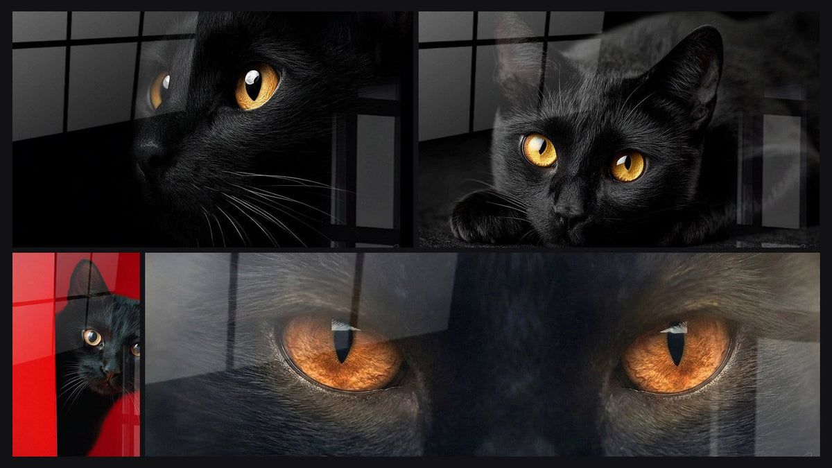 Mosaico di quattro quadri, tra cui Chat Nero Occhi Ambra, Chat Noir con occhi dorati e Chat Nero con Occhi Dorati
