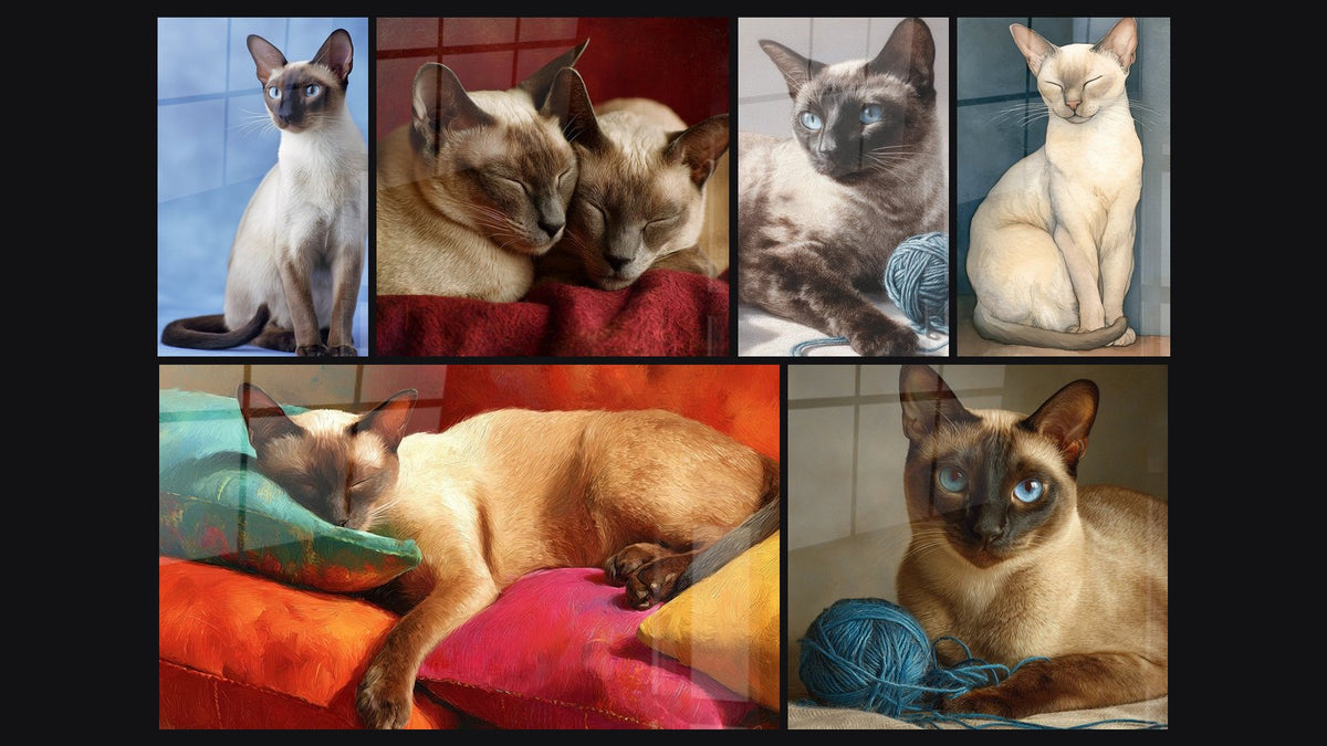 Mosaic of six paintings, including Two Tonkinese Cats Embracing, Tonkinese Cat Meditation and Sleeping Tonkinese Cat