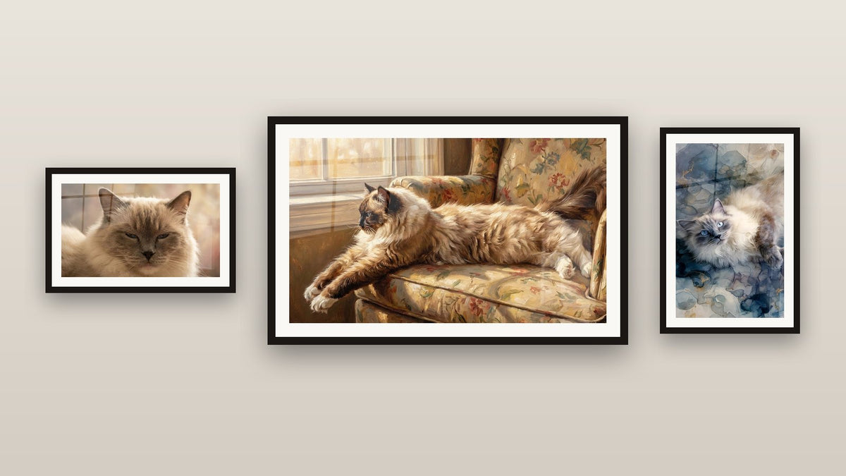 Mur de galerie avec trois tableaux encadrés, dont Chat Ragdoll Aquarelle et Chat Ragdoll sur Fauteuil Fleuri