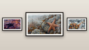 Mur de galerie avec trois tableaux encadrés