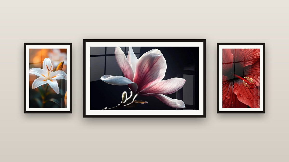 Mur de galerie avec trois tableaux encadrés : Magnolia N°1, Lys N°2 et Hibiscus N°2