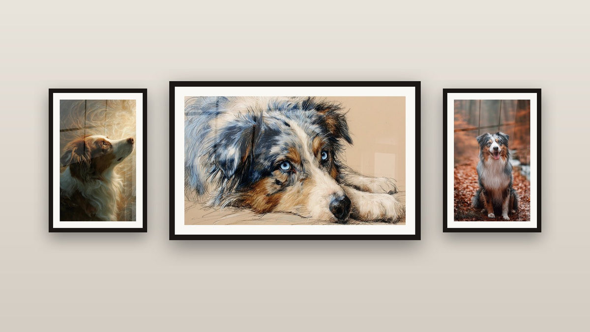 Galerijwand met drie ingelijste schilderijen, waaronder Australische Herder Portret Licht Profiel