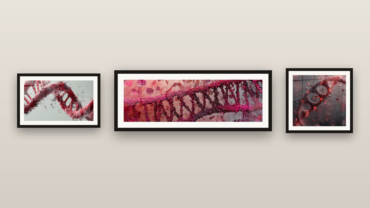 Galeriewand mit drei gerahmten Gemälden, darunter DNA-Helix-Tafel rosa