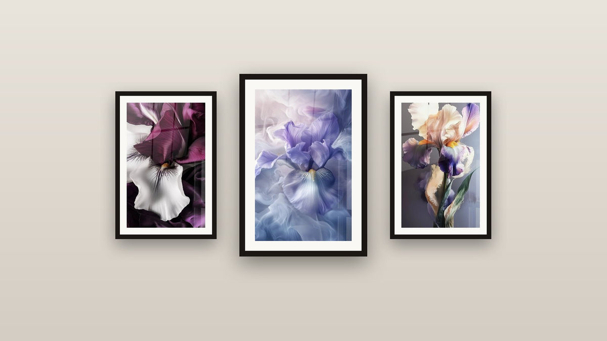 Mur de galerie avec trois tableaux encadrés : Iris N°4, Iris N°2 et Iris N°8