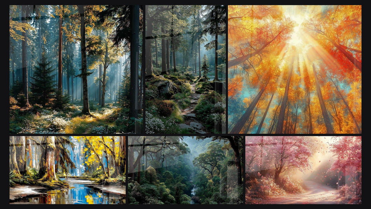 Mosaïque de six tableaux, dont Forêt magique rayons soleil, Sentier Forestier Mystique et Cascade en forêt tropicale