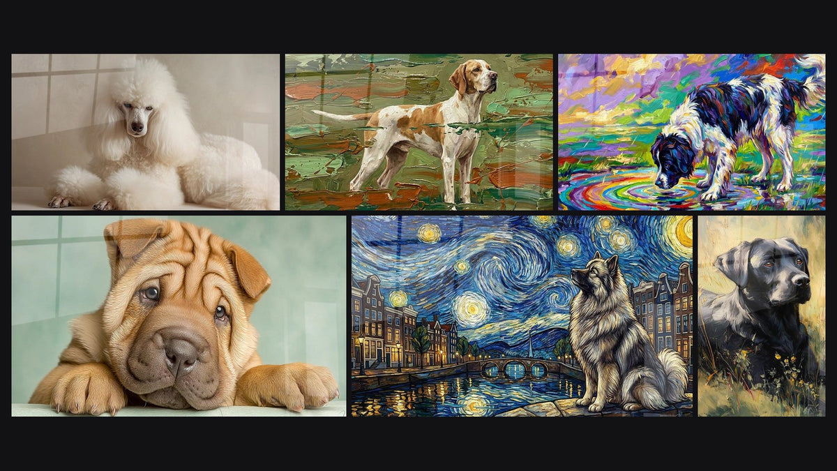 Mosaico de seis cuadros, entre ellos Caniche Blanco Elegante en Baño y Cachorro Fawn con Ojos Tiernos en Baño
