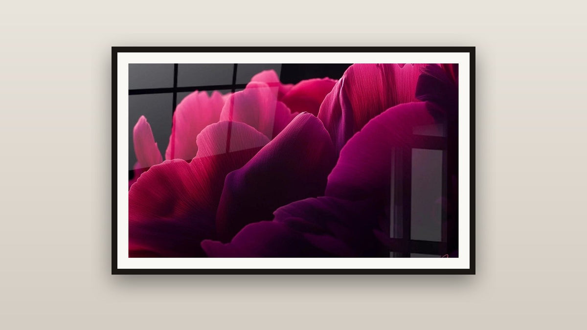 Quadro incorniciato su una parete: Peonia N°1