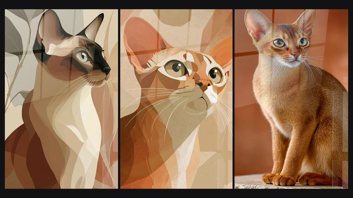 Mosaïque de trois tableaux : Chat Singapura Abstrait, Chat Singapura Cubiste et Chat Singapura Assis