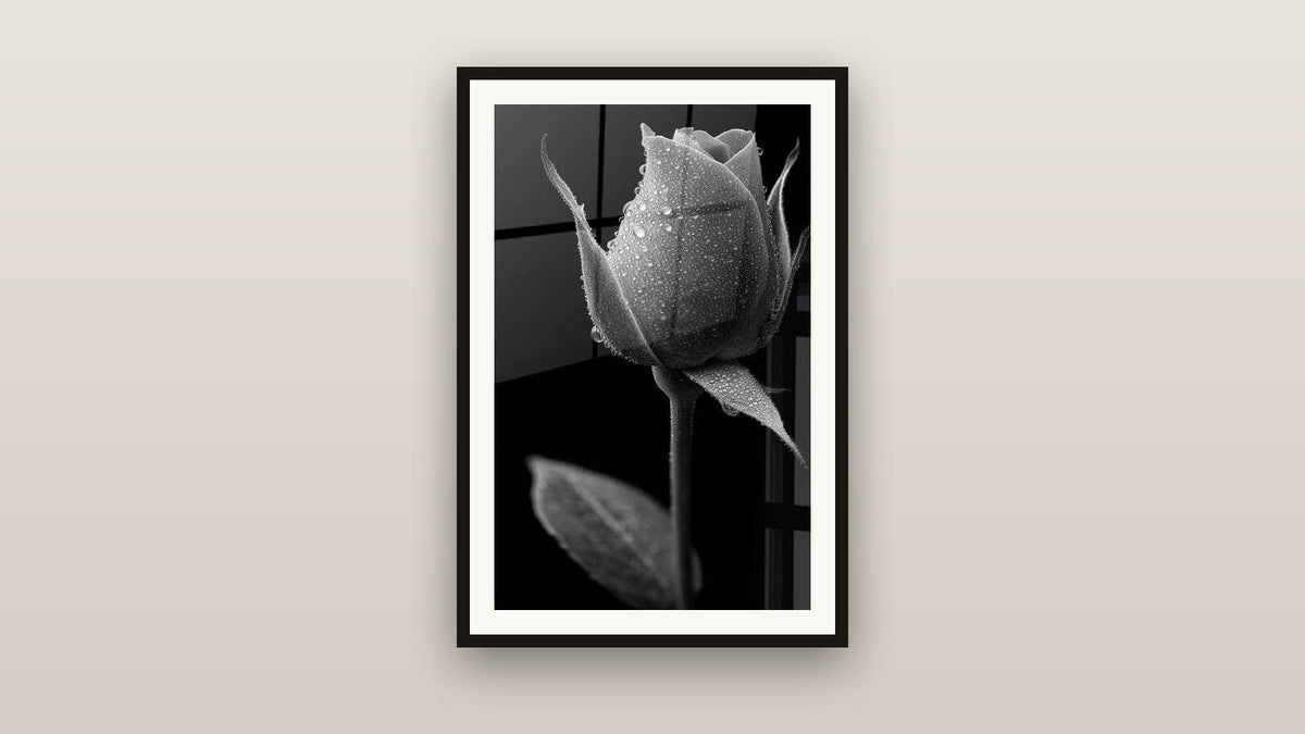 Framed painting on a wall: Rose with Dew Drops