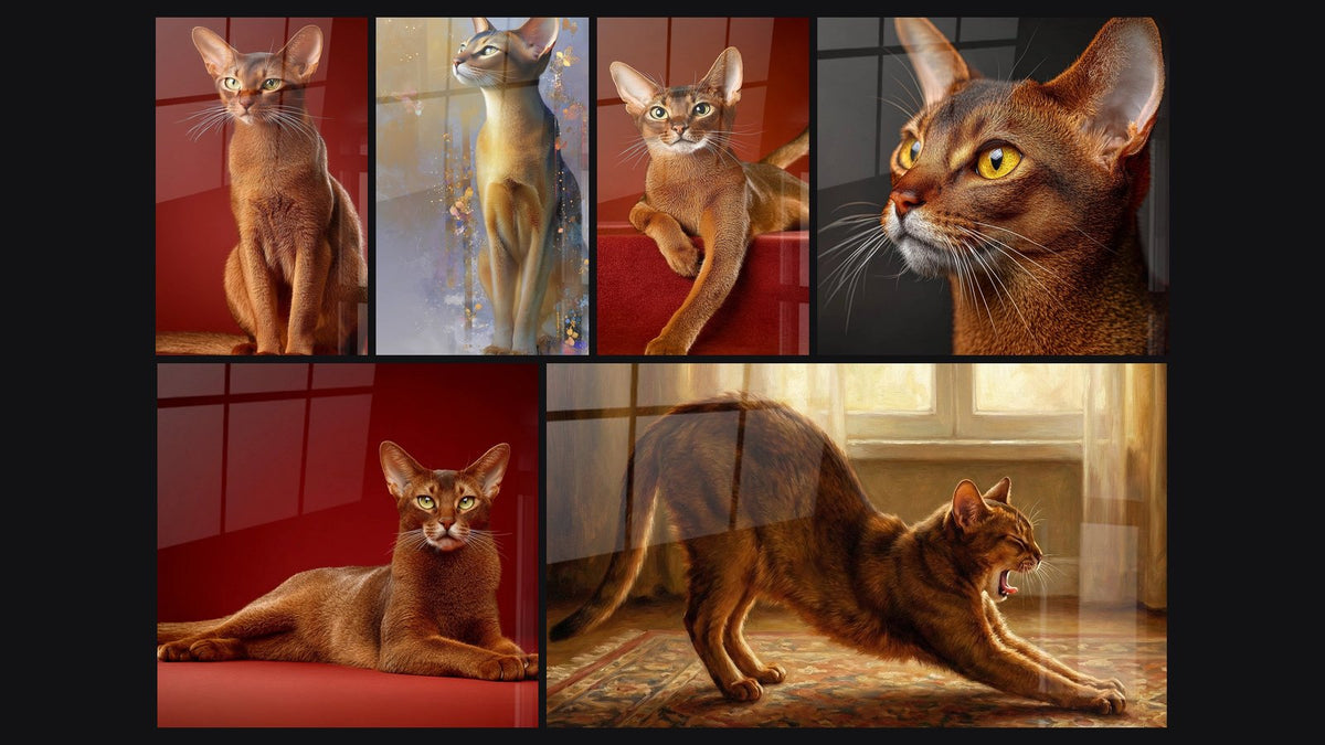 Mosaïque de six tableaux, dont Chat Abyssin Assis, Chat Abyssin Majestueux et Chat Abyssin sur Escalier Rouge