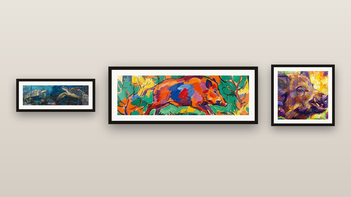 Mur de galerie avec trois tableaux encadrés, dont Tortue Grâce marine