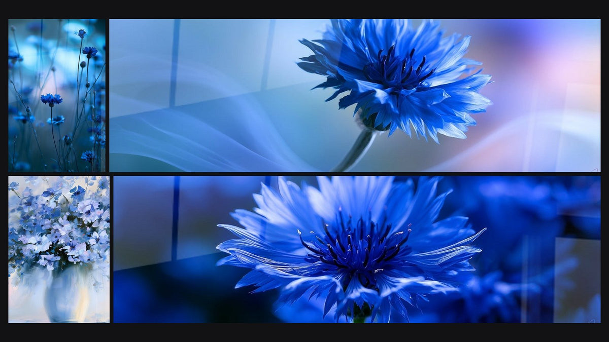 Mosaïque de quatre tableaux, dont Bleuets bleu marine et turquoise en champ et Bouquet de bleuets bleu et blanc