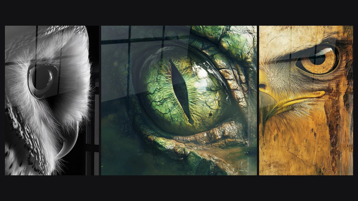 Mosaic of three paintings: Owl Queen of Shadows, Reptile Eye Witness and Eagle Wall Art Master of Heights