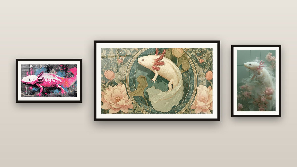 Galerijwand met drie ingelijste schilderijen