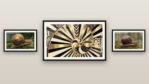 Gallery wall with three framed paintings, including Golden Snail on Verdant Moss Wall