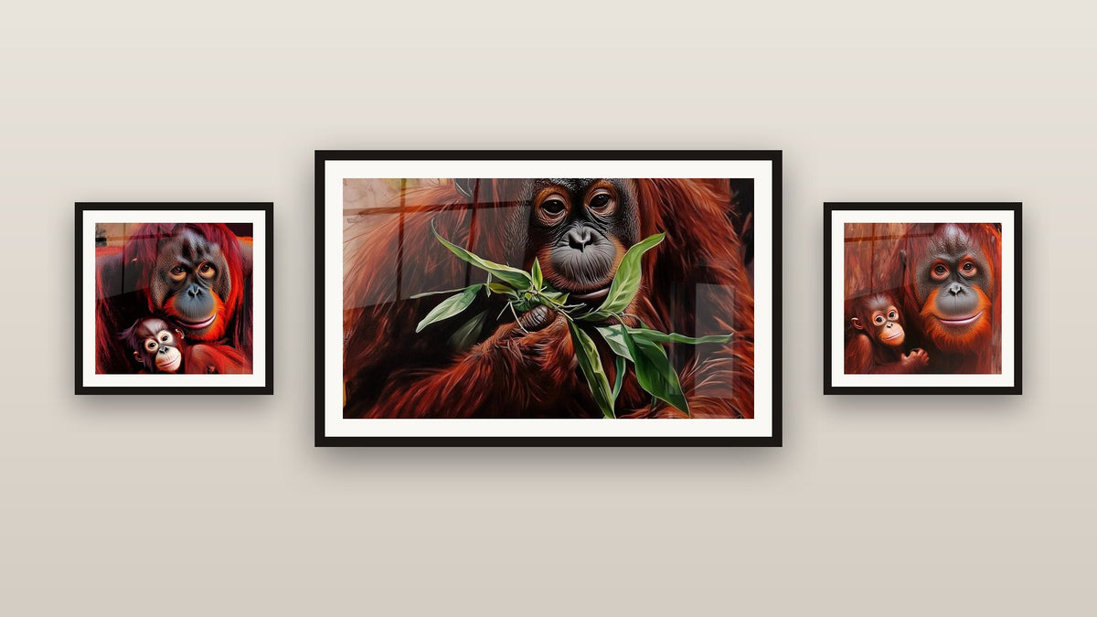 Gallery wall with three framed paintings, including Orangutan Wall Art Canopy Spirit