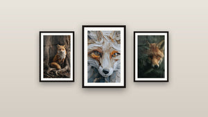 Gallery wall with three framed paintings, including Red Fox and Green Under Pine Branch