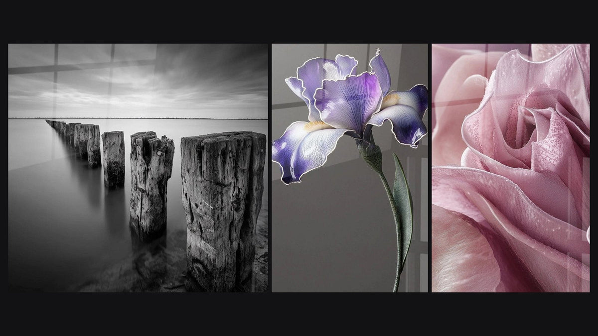 Mosaic of three paintings: Wooden Pilings in Water, Iris Wall Art No. 9 and Tulip Wall Art N°2