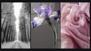 Mosaic of three paintings: Forest Road Snow, Iris Wall Art No. 9 and Tulip Wall Art N°2