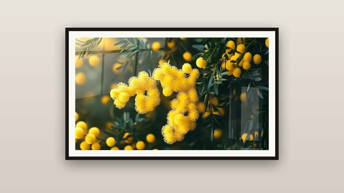 Tableau encadré sur un mur : Mimosa N°1