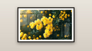 Ingelijst schilderij aan een muur: Mimosa nr. 1