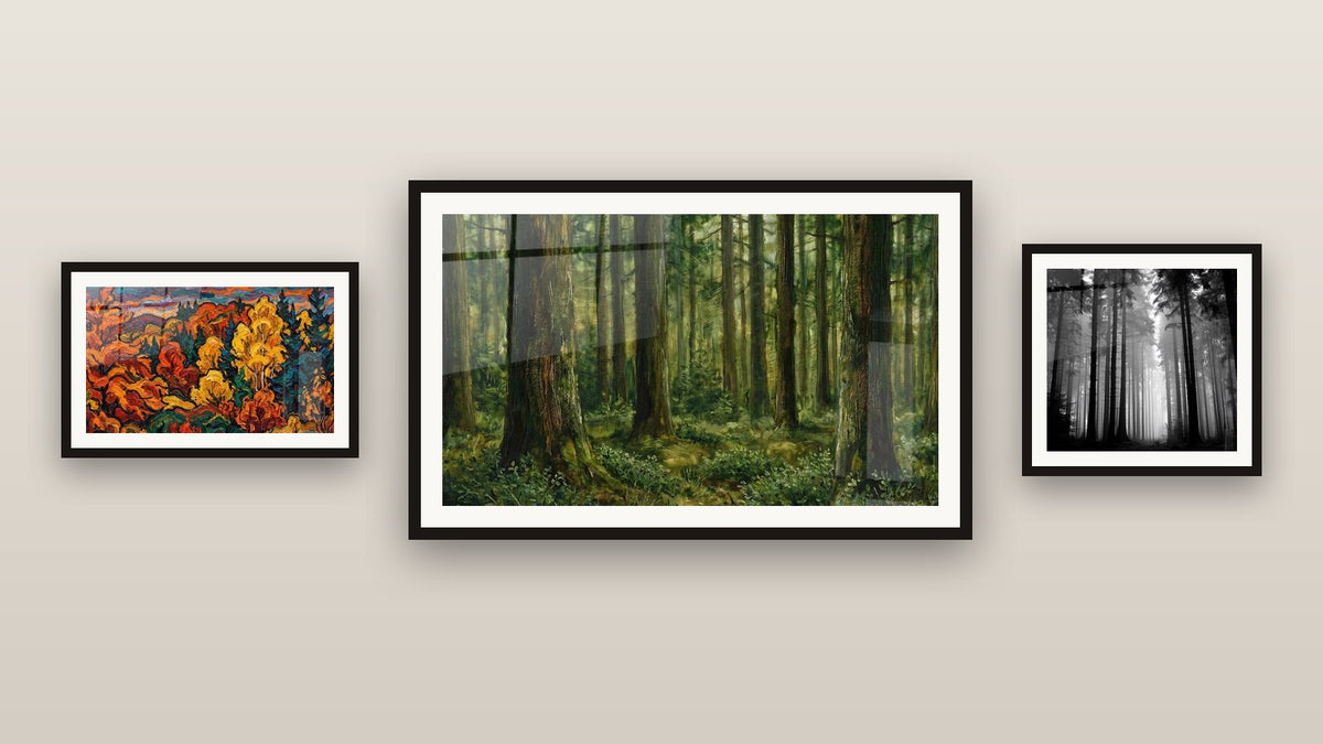 Pared de galería con tres cuadros enmarcados: Bosque de Coníferas, Paisaje Otoñal y Bosque de Abetos en la Niebla
