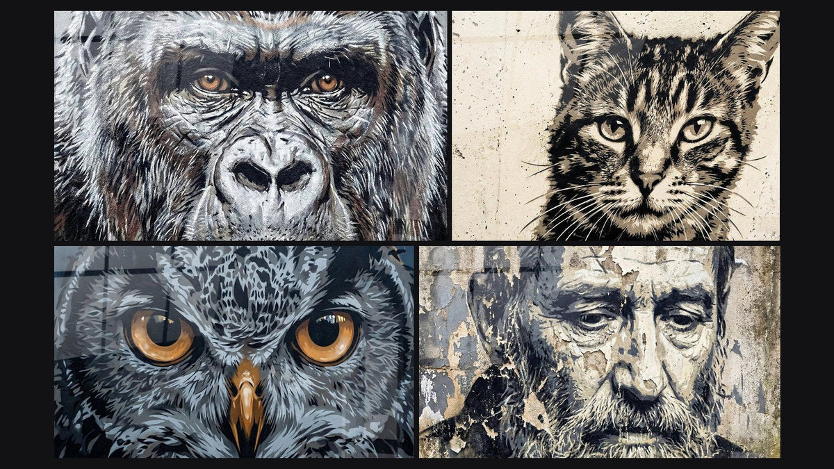 Mosaico di quattro quadri, tra cui Gufo occhi dorati su fondo grigio urbano