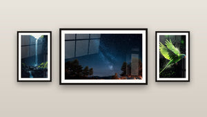 Gallery wall with three framed paintings, including Parrot Wall Art N°2