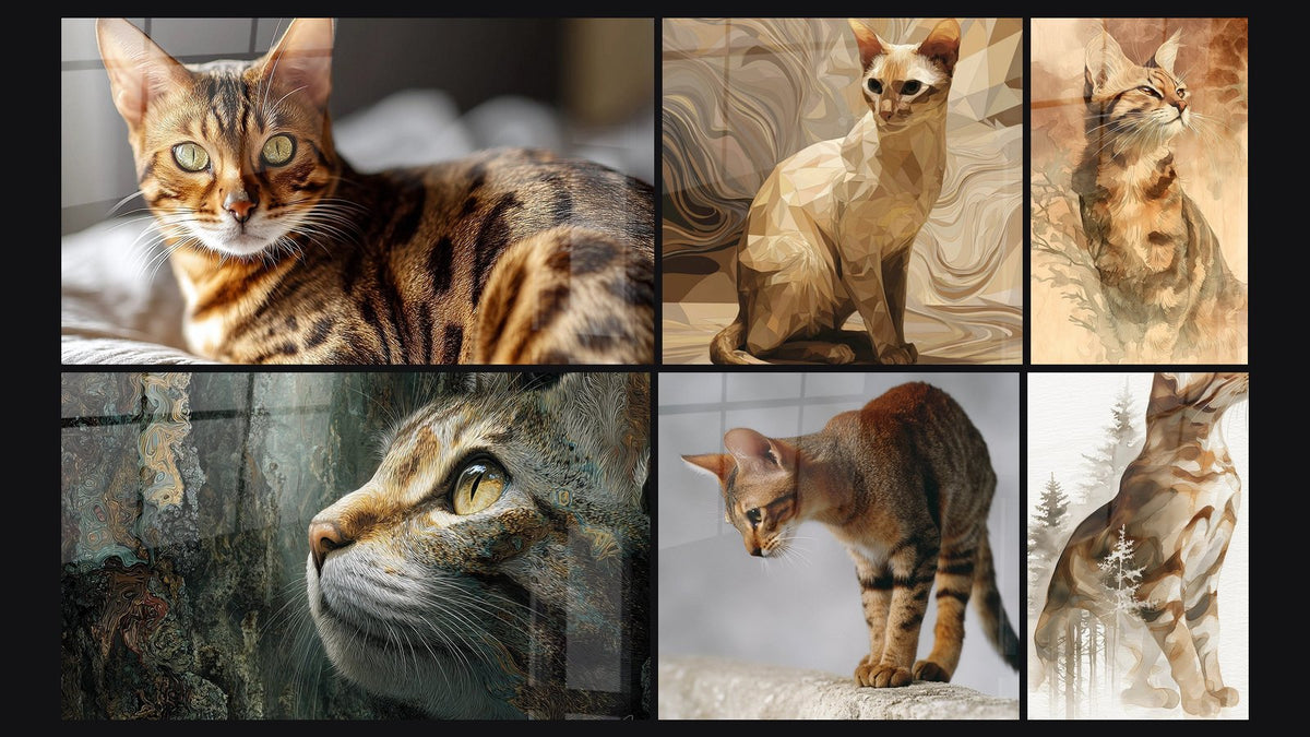 Mosaïque de six tableaux, dont Chat Bengal Couché, Chat Sokoke Contemplatif et Chat Sokoke Polygonal