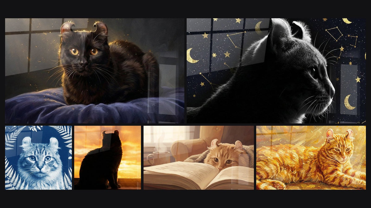 Mosaïque de six tableaux, dont Chat American Curl Noir Lumière Dorée et Chat American Curl Bleu Fougères