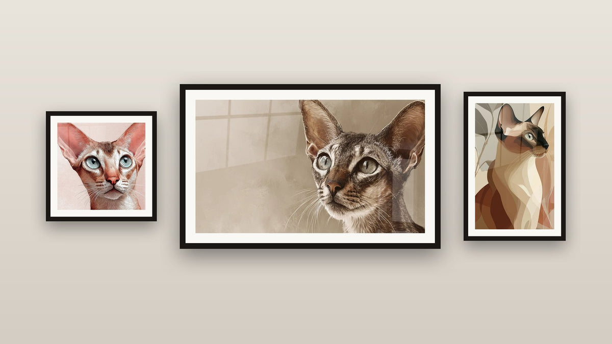 Mur de galerie avec trois tableaux encadrés, dont Chat Singapura Abstrait et Chat Singapura Yeux Bleus