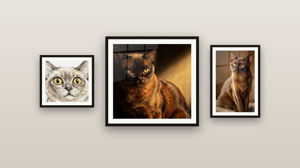 Mur de galerie avec trois tableaux encadrés, dont Chat Burmese au Regard Doré et Chat Burmese Élégant