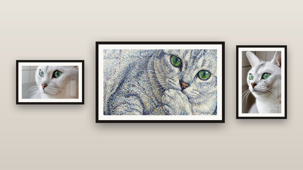 Mur de galerie avec trois tableaux encadrés : Chat Burmilla aux Yeux Verts, Chat Burmilla Yeux Verts et Chat aux Yeux Verts