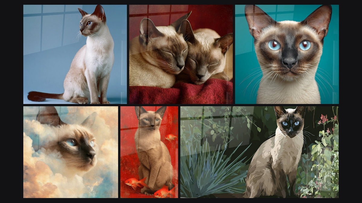 Mosaïque de six tableaux, dont Chat Tonkinois Assis, Deux Chats Tonkinois Enlacés et Chat Tonkinese dans les Nuages