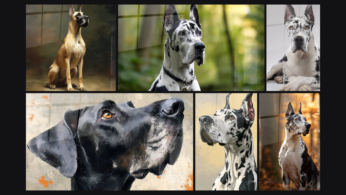 Mozaïek van zes schilderijen, waaronder Hond Portret Amber Kleurige Blik en Duitse Dog Arlequin Portret Edel